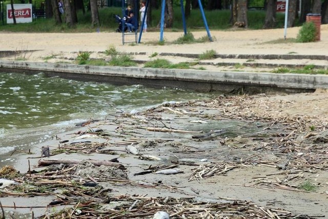 Wojewódzki Inspektorat Ochrony Środowiska przebadał wodę w Zalewie Zemborzyckim