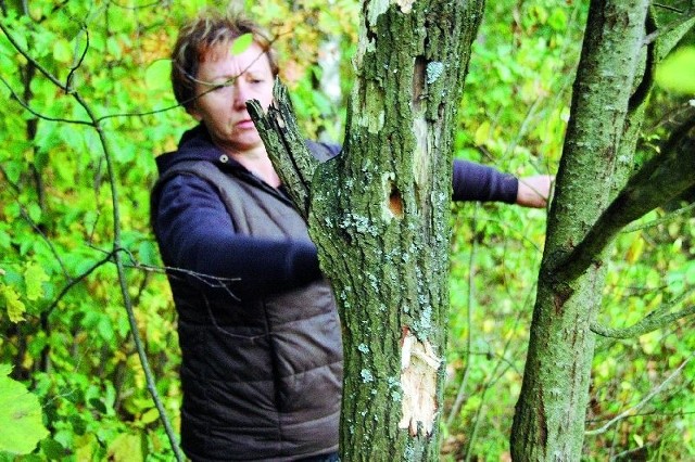 Żona ofiary kilkakrotnie odwiedzała miejsce śmierci męża. Przed sądem postanowiła dowiedzieć się, jak zginął mąż