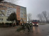 Wichura w powiecie bełchatowskim: połamane drzewa, zalana posesja, tysiące odbiorców bez prądu
