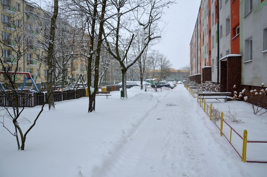 Śnieżna zima w Stalowej Woli cieszy dzieci, ale drogowcy i kierowcy mają udrękę. Zobacz zdjęcia