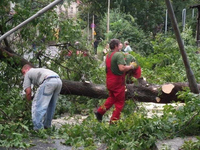 Panowie z ZGKiM ciezko pracowali przy usunieciu drzewa przy ul. gen. Józefa Sowinskiego