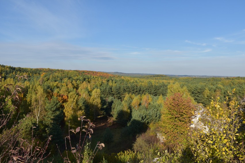 Jurajskie krajobrazy jesienią - Okiennik Wielki.