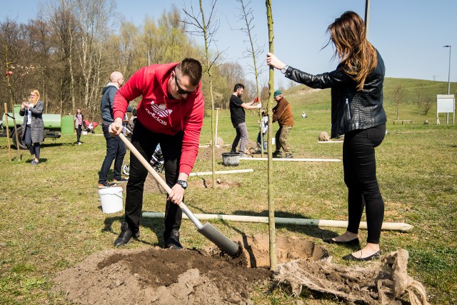 Dwa lata temu, w słodkich czasach przed pandemią, bydgoszczanie mogli sadzić w Myślęcinku drzewa upamiętniające swoje dzieci