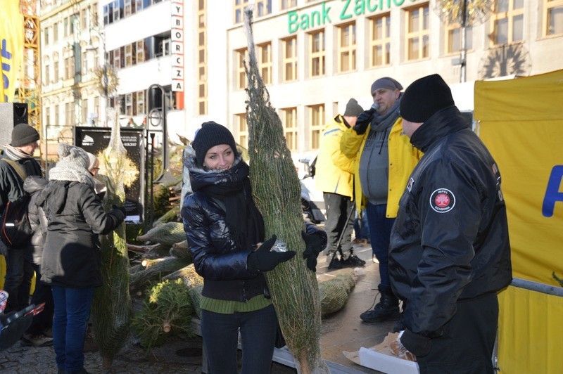 RMF FM rozdaje choinki we Wrocławiu. Na pl. Solnym tłumy