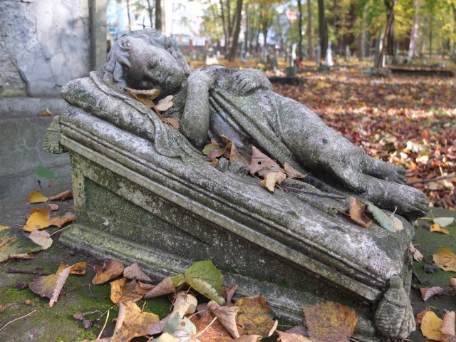 Cmentarz przy ulicy Wrocławskiej powstał w 1813 roku i wówczas był jeszcze poza granicami miasta. Był kilka razy powiększany i przez ponad sto lat był główną nekropolią Opola, ale kiedy powstał cmentarz na Półwsi, stopniowo tracił na znaczeniu. M.in. dlatego jeszcze przed II wojną światową przez cmentarz poprowadzono ulicę Niemodlińską. 