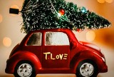 Zespół T. Love nagrał świąteczne piosenki. Jedna z nich "Uwierz w Mikołaja" promuje film z gwiazdorską obsadą