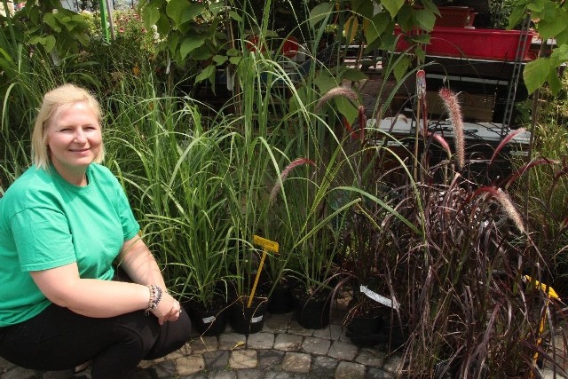 Oczko wodne w ogrodzie - jak je zbudować        - Jeśli chcemy ulokować rośliny w oczku  wodnym, użyjmy koszy i specjalnej gliniastej ziemi - mówi Anna Wielgus z Agrocentrum.