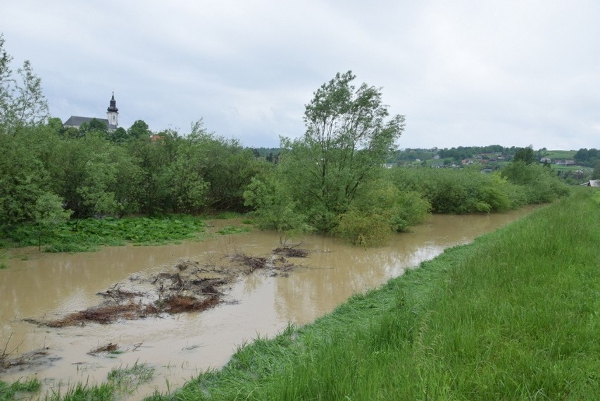 Idzie powodziowa fala na Białej. Zagrożone Ciężkowice i Tuchów