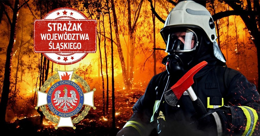 Wielki ogólnopolski finał plebiscytu strażackiego rozpoczęty! Pomóż zwyciężyć kandydatom z naszego województwa!