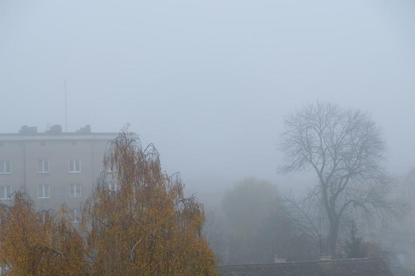 Mgła Białymstoku i w województwie podlaskim. Pogoda na środę 11 grudnia 2019 (zdjęcia)