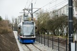Mieszkańcy Bydgoszczy wskazywali kandydatów na patronów tramwajów. Rekordowe zainteresowanie