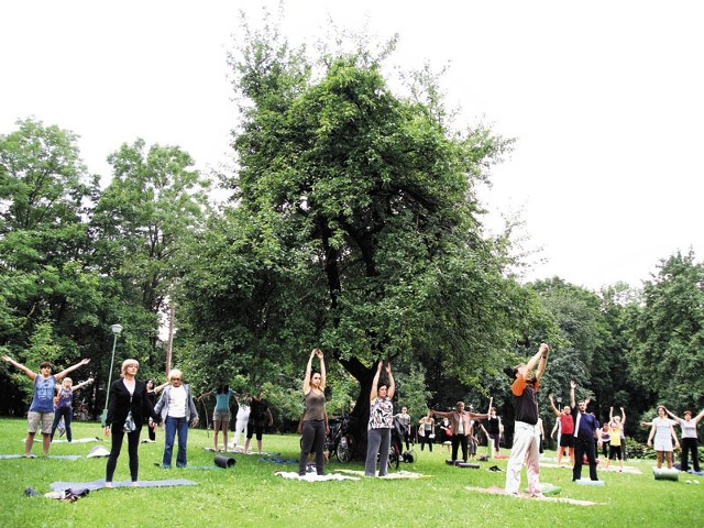 Zajęcia na świeżym powietrzu na Plantach