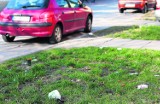 Śmieci na trawnikach w centrum Radomia