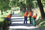 Więźniowie mają obowiązkowo pracować