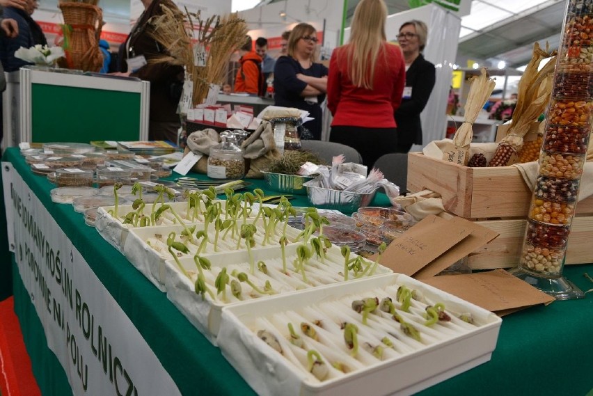 Agrotech 2019 w Kielcach. Trendy w nawożeniu, aplikacje do azotu i nawozy odzyskiwane z... odpadów ściekowych (WIDEO) 