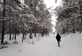 Śnieżna zadymka nad Bałtykiem. Sfilmował ją inowrocławianin. Zobaczcie co tam się działo [wideo]