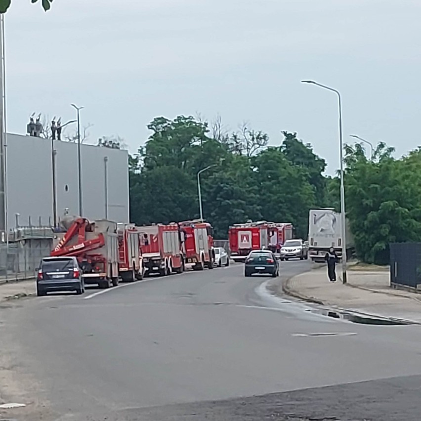 Zanieczyszczenie w cieku melioracyjnym w Oławie, w pobliżu...