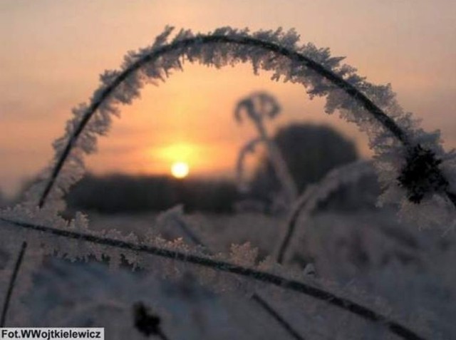 Centralne Biuro Prognoz Meteorologicznych Zespół w Białymstoku wprowadza pierwszy stopień zagrożenia. W województwie podlaskim będą przymrozki