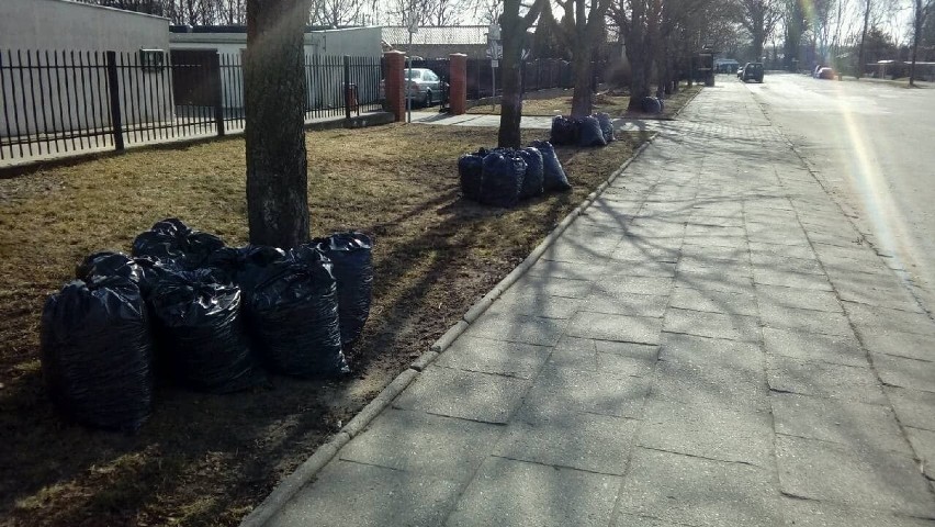 Pabianice. Ulice, chodniki i trawniki posprzątane. O porządek zadbali skazani ZDJĘCIA