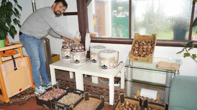 Tomasz Kapuściński od dwóch lat zajmuje się produkcją czarnego czosnku.
