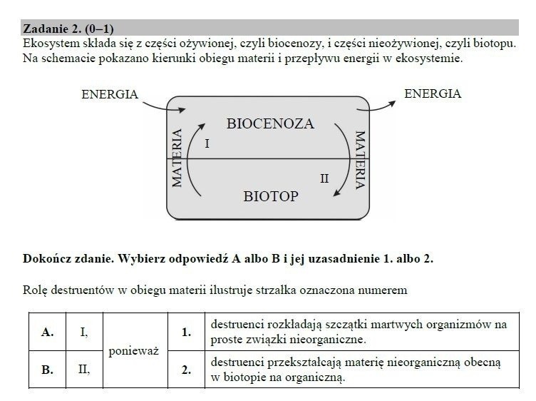 EGZAMIN GIMNAZJALNY 2019 MATEMATYKA. Odpowiedzi, arkusze,...