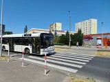 Kierowca MZK w Toruniu usłyszał zarzuty za śmierć emerytki na pasach. Nie przyznaje się do winy!