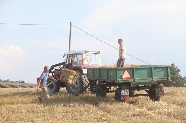 "Rolnik szuka żony" (fot. AplusC)