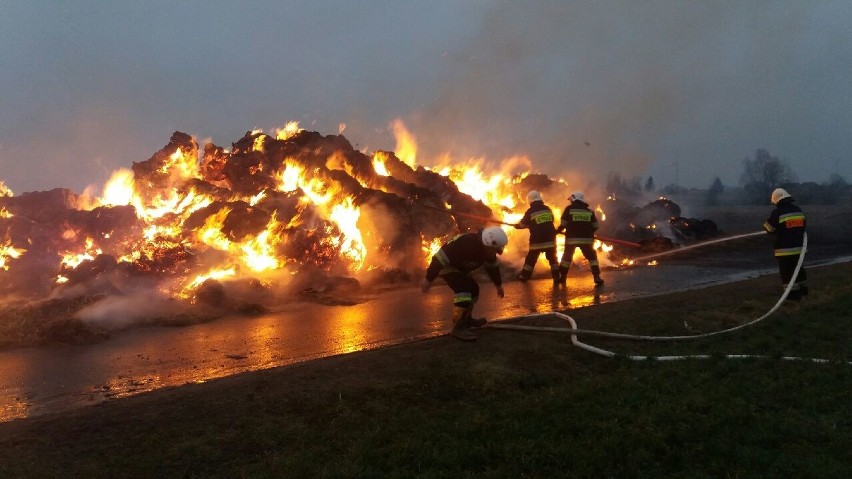 Strażacy gasili pożar 750 bali słomy w Pólku (gm. Płużnica)...