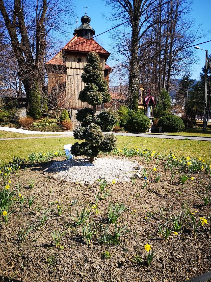 Wiśniowa. Dać nadzieję chorym może każdy z nas. Wystarczy wesprzeć tych, którzy na co dzień im pomagają 