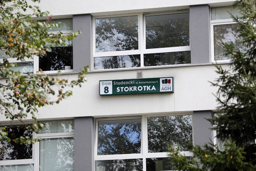 Stokrotka