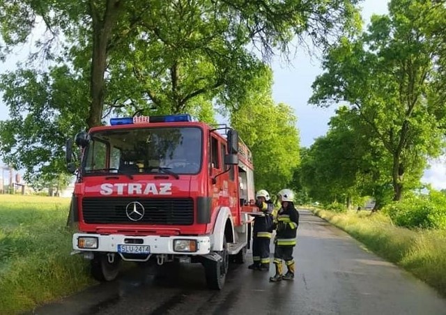 Burza przeszła przez powiat lubliniecki. Powalone drzewa w gminie Boronów i Herby