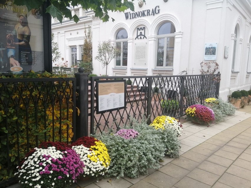 Restauracja Widnokrąg wejście od ulicy Opatowskiej.