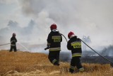 Mężczyzna spłonął na polu. "Kiedy dojechaliśmy na miejsce, jego ciało było już zwęglone"