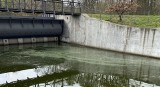 MKiŚ: sztab kryzysowy uzgodnił pilne natlenianie wody w Kanale Gliwickim