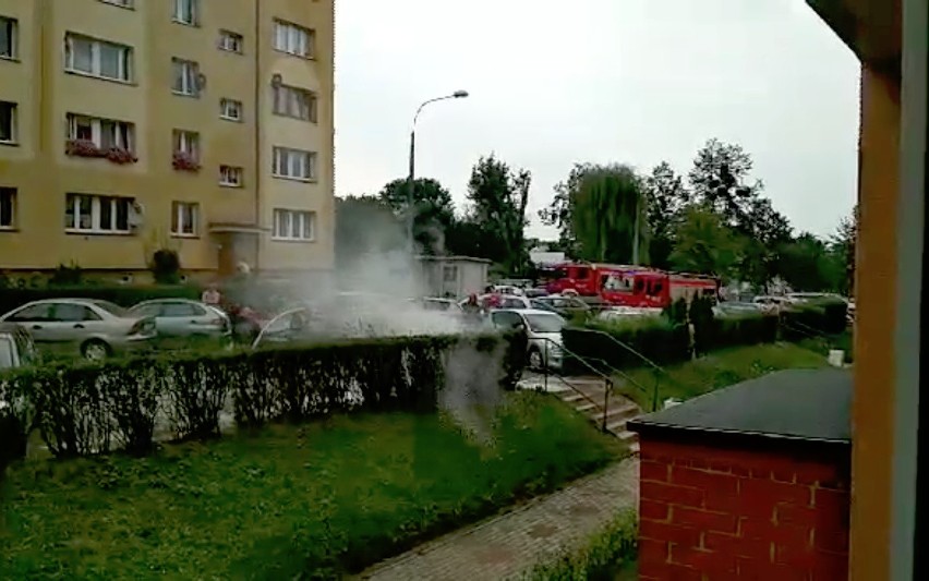 Dwa samochody spłonęły na osiedlu w Rybniku - gaśnice nie pomogły ZDJĘCIA