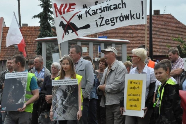 Protest w Śmiglu przeciwko fermie norek w Karśnicach i Żegrówku