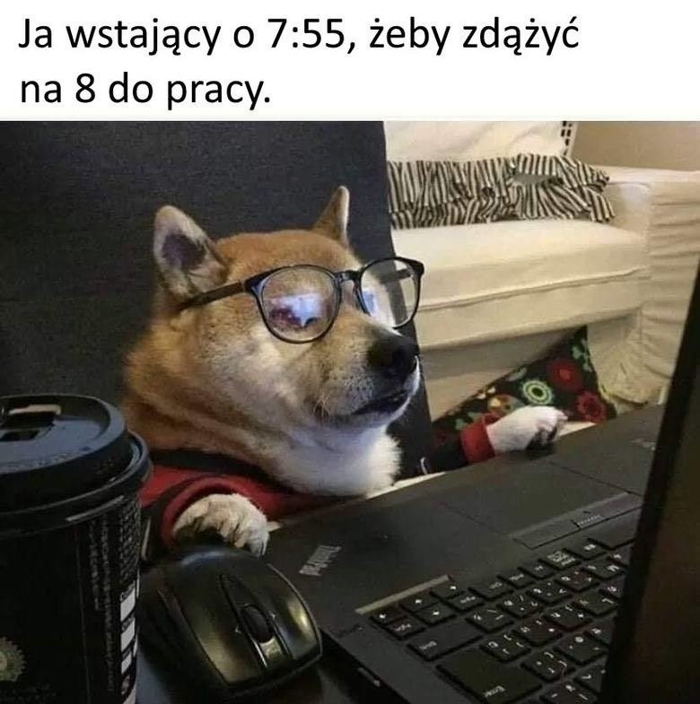 Memy o pracy zdalnej w czasach koronawirusa. Najlepsze memy...