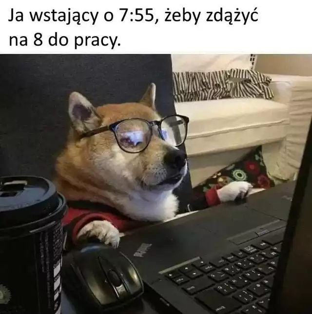 Memy o pracy zdalnej w czasach koronawirusa. Najlepsze memy o home office