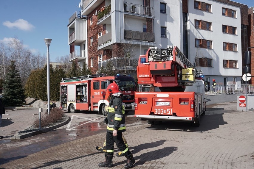 Pożar na tarasie bloku przy ul. Pienistej w Łodzi. Co było przyczyną pożaru przy Pienistej? 23.03.2021