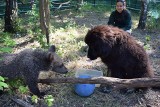 Zoo w Poznaniu: Cisna ma nowego przyjaciela! [ZDJĘCIA]