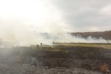 Powiat sławieński: Stop pożarom traw. Już 13 interwencji strażaków w tym roku