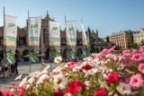 Kraków nie walczy już o tytuł Zielonej Stolicy Europy, ale nadal nie chce ujawnić wniosku aplikacyjnego