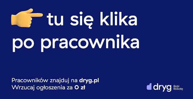 Dryg.pl, nowy serwis dla poszukujących pracy i szukających pracowników,  który udowadnia, że proces rekrutacji może być łatwy i przyjemny | Dziennik  Bałtycki