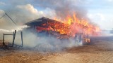 Ściokła. 11 zastępów straży pożarnej gasiło pożar tartaku [ZDJĘCIA]