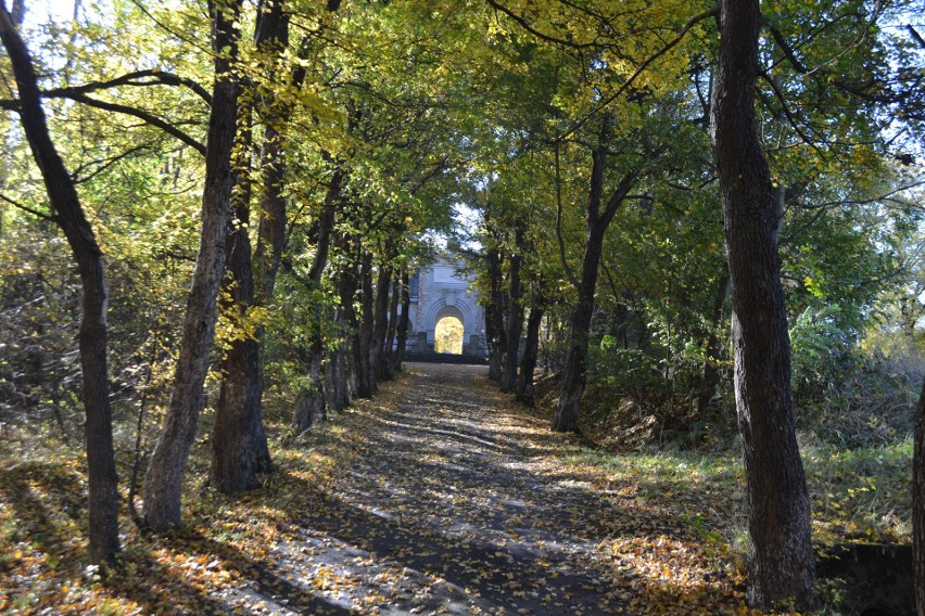 Cmentarz wojenny nr 91 w Gorlicach i jego wyjątkowy urok, zwłaszcza jesienią [Zobacz zdjęcia] 