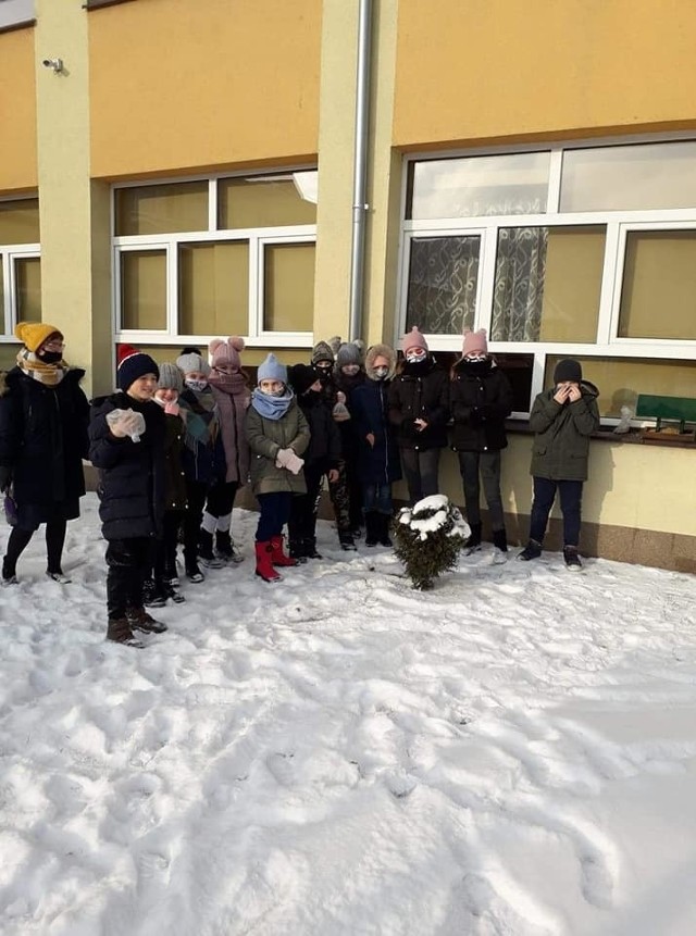 Uczniowie białobrzeskiej podstawówki po powrocie do szkoły zadbali o ptaki, napełnili karmniki własnoręcznie przygotowanymi mieszankami ziaren.