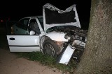 Poważny wypadek w Łowinku. Auto uderzyło w drzewo, dwie osoby w szpitalu [zdjęcia]