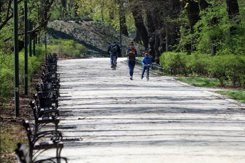 Koronawirus. Znowu można pójść na spacer do Ogrodu Saskiego. Tereny zielone otwarte dla mieszkańców