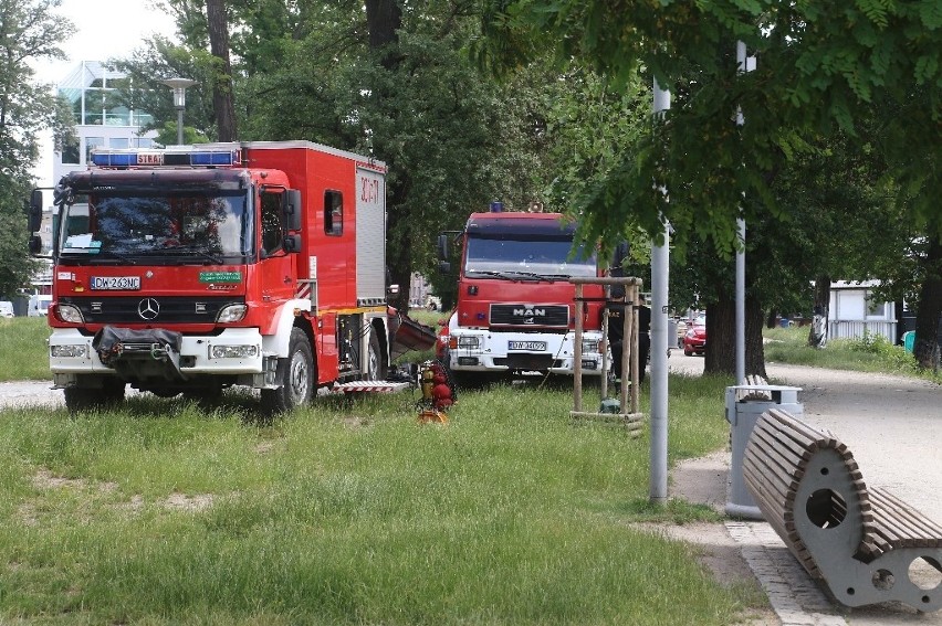 Na Odrze trwają poszukiwania zaginionego Ukraińca. Mógł się...