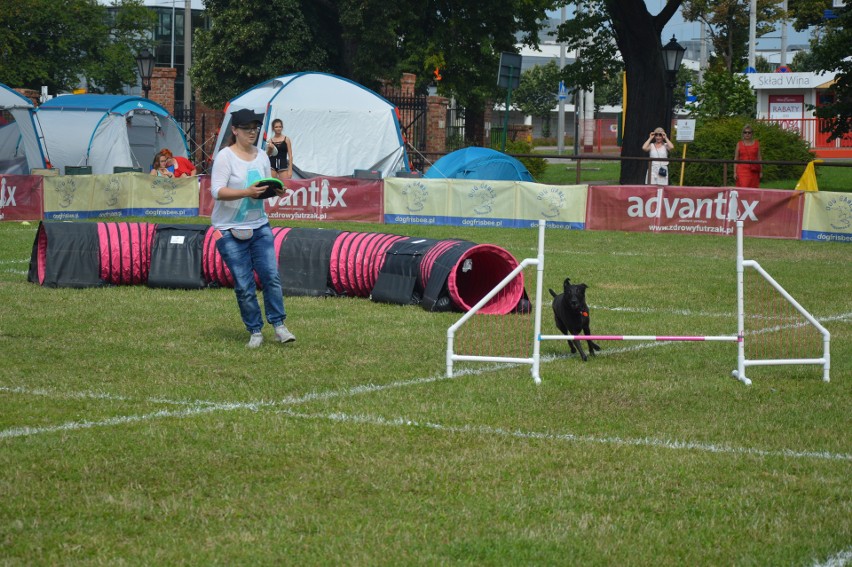 "Latające psy" 2018 w gdyńskim Parku Kolibki, czyli emocjonujące zawody w dogfrisbee